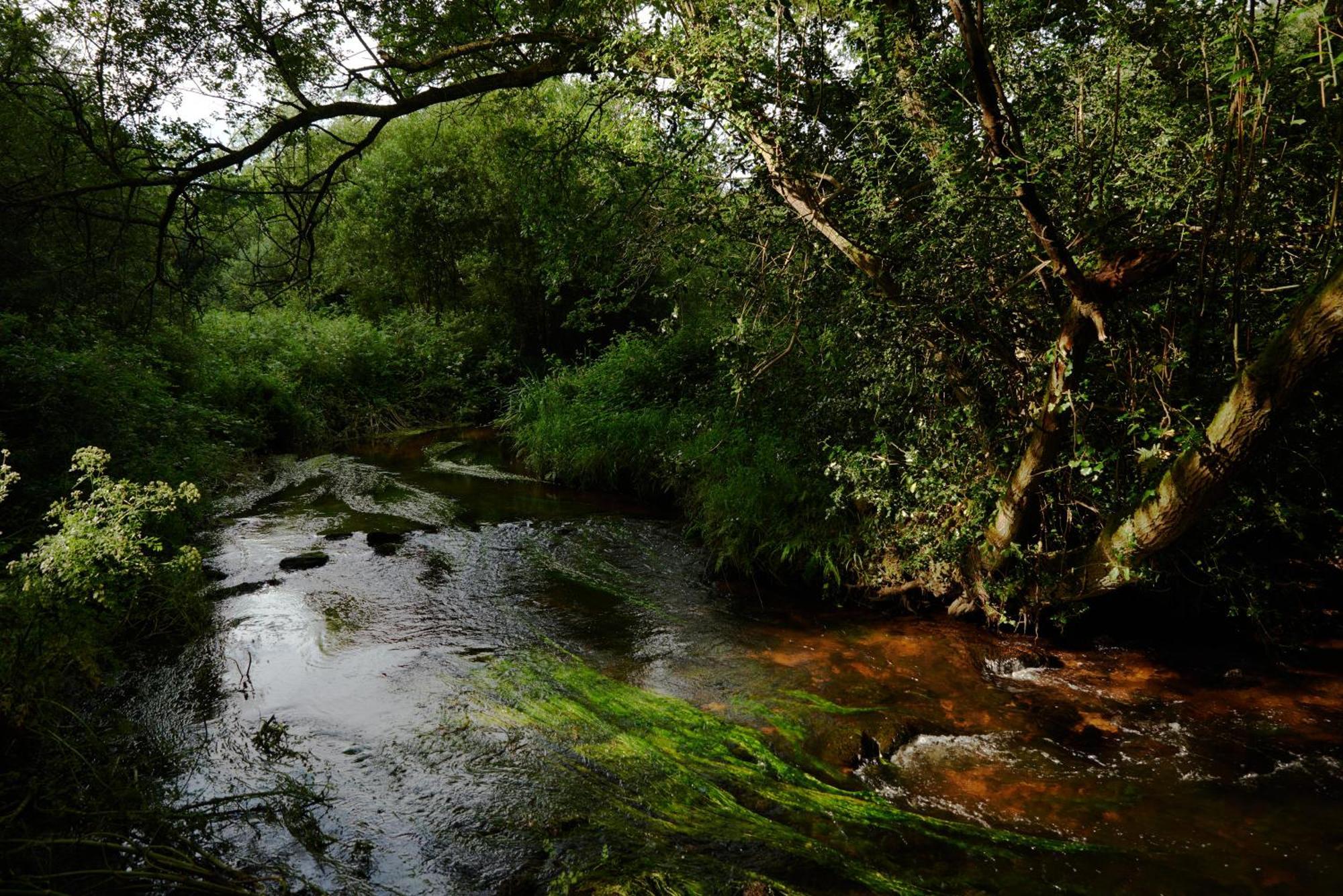 Вилла Les Ecuries Du Nevez Ploneour-Lanvern Экстерьер фото